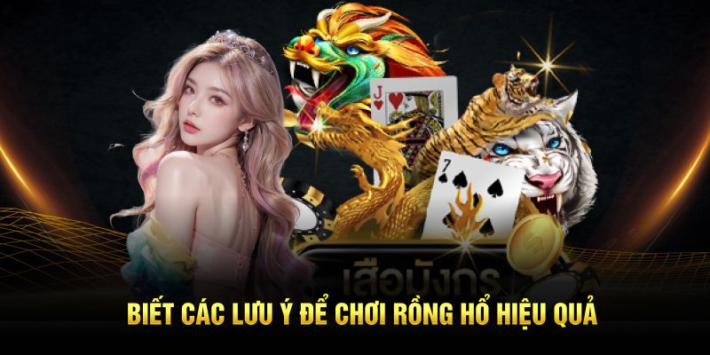 Biết các lưu ý để chơi Rồng Hổ hiệu quả